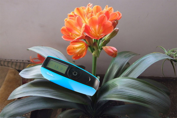 1639020768857293.jpg 432.jpg